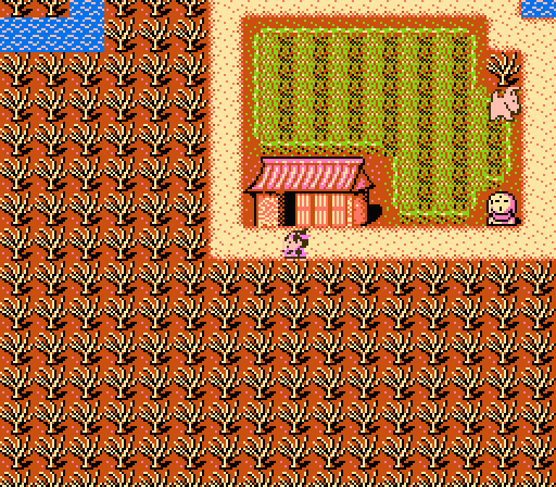 桃太郎伝説│花と木の国│銀の鬼と戦闘